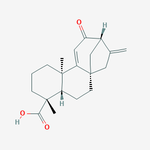 12-Oxograndiflorenic acidͼƬ