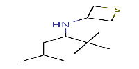 N-(2,2,5-trimethylhexan-3-yl)thietan-3-amineͼƬ