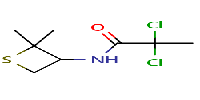 2,2-dichloro-N-(2,2-dimethylthietan-3-yl)propanamideͼƬ