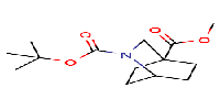 2-tert-butyl4-methyl2-azabicyclo[2,2,2]octane-2,4-dicarboxylateͼƬ