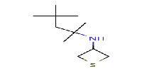 N-(2,4,4-trimethylpentan-2-yl)thietan-3-amineͼƬ