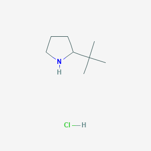 2-tert-butylpyrrolidine hydrochlorideͼƬ