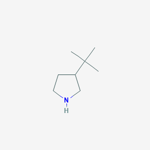 3-tert-butylpyrrolidineͼƬ