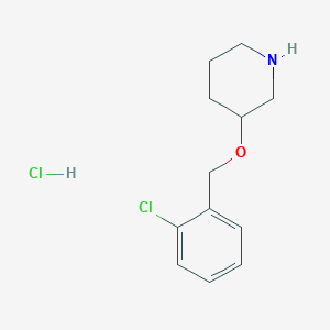 3-[(2-Chlorobenzyl)oxy]piperidine hydrochlorideͼƬ