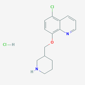 5-Chloro-8-(3-piperidinylmethoxy)quinolinehydrochlorideͼƬ