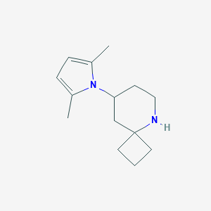 8-(2,5-Dimethyl-pyrrol-1-yl)-5-aza-spiro3,5nonaneͼƬ