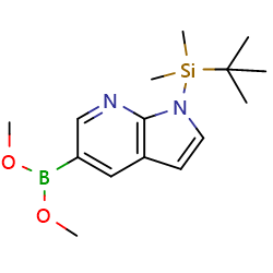 [1-[(1,1-dimethylethyl)dimethylsilyl]-1H-pyrrolo[2,3-b]pyridin-5-yl]-boronicaciddimethylesterͼƬ