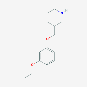 3-[(3-Ethoxyphenoxy)methyl]piperidineͼƬ