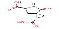 (1S,3S,6S)-4-oxo-5-azaspiro[2,4]heptane-1,6-dicarboxylicacidͼƬ