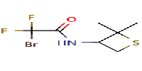 2-bromo-N-(2,2-dimethylthietan-3-yl)-2,2-difluoroacetamideͼƬ