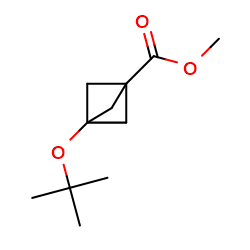 methyl3-(tert-butoxy)bicyclo[1,1,1]pentane-1-carboxylateͼƬ