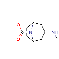 tert-butyl3-(methylamino)-8-azabicyclo[3,2,1]octane-8-carboxylateͼƬ