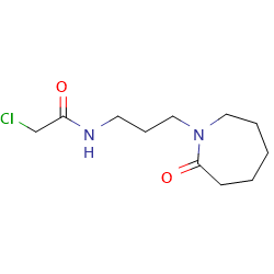 2-chloro-N-[3-(2-oxoazepan-1-yl)propyl]acetamideͼƬ