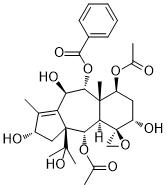 9-Deacetyl-9-benzoyl-10-debenzoyl-4,20-epoxytaxchinin AͼƬ