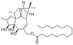 Ingenol 20-palmitateͼƬ