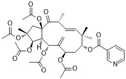 Jatrophane 1ͼƬ