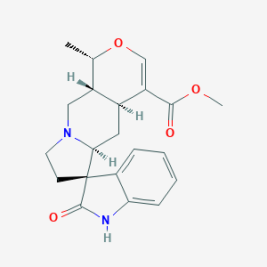 IsomitraphyllineͼƬ