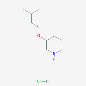 3-(Isopentyloxy)piperidine HydrochlorideͼƬ