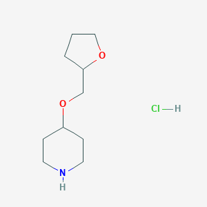 4-(Tetrahydro-2-furanylmethoxy)piperidine HydrochlorideͼƬ