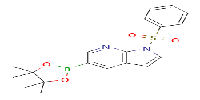 1-(phenylsulfonyl)-5-(4,4,5,5-tetramethyl-1,3,2-dioxaborolan-2-yl)-1H-pyrrolo[2,3-b]pyridineͼƬ