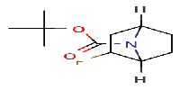 tert-butyl2-fluoro-7-azabicyclo[2,2,1]heptane-7-carboxylateͼƬ