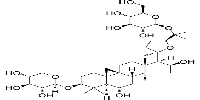 Isoastragaloside IVͼƬ