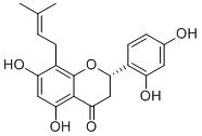 Leachianone GͼƬ