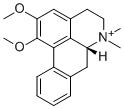 N-MethylnuciferineͼƬ