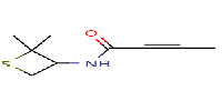 N-(2,2-dimethylthietan-3-yl)but-2-ynamideͼƬ