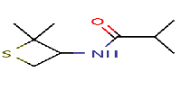 N-(2,2-dimethylthietan-3-yl)-2-methylpropanamideͼƬ