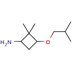 2,2-dimethyl-3-(2-methylpropoxy)cyclobutan-1-amineͼƬ