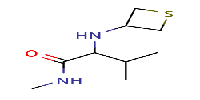 N,3-dimethyl-2-[(thietan-3-yl)amino]butanamideͼƬ