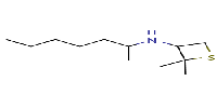 N-(heptan-2-yl)-2,2-dimethylthietan-3-amineͼƬ