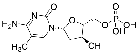 2'-Deoxy-5-methylcytidine-5'-monophosphate Disodium SaltͼƬ