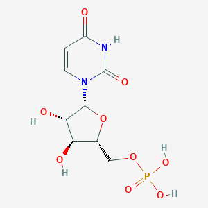 1--D-Arabinofuranosyluracil 5'-MonophosphateͼƬ