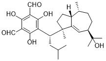 Macrocarpal OͼƬ