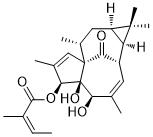 20-Deoxyingenol 3-angelateͼƬ