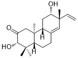 Yucalexin P-17ͼƬ