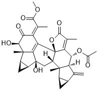 Chlorahololide CͼƬ