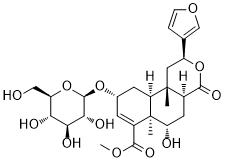 Tinosporoside AͼƬ