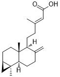 Metasequoic acid AͼƬ