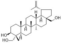 23-ǻ׵ͼƬ