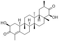 Triptocalline AͼƬ