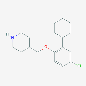 4-[(4-Chloro-2-cyclohexylphenoxy)methyl]piperidineͼƬ