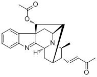 Rauvotetraphylline DͼƬ