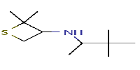 N-(3,3-dimethylbutan-2-yl)-2,2-dimethylthietan-3-amineͼƬ