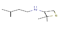 2,2-dimethyl-N-(3-methylbutyl)thietan-3-amineͼƬ