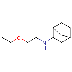 N-(2-ethoxyethyl)bicyclo[2,2,1]heptan-2-amineͼƬ