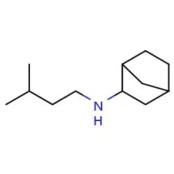 N-(3-methylbutyl)bicyclo[2,2,1]heptan-2-amine图片