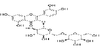 Quercetin 3-O--GentiobiosideͼƬ